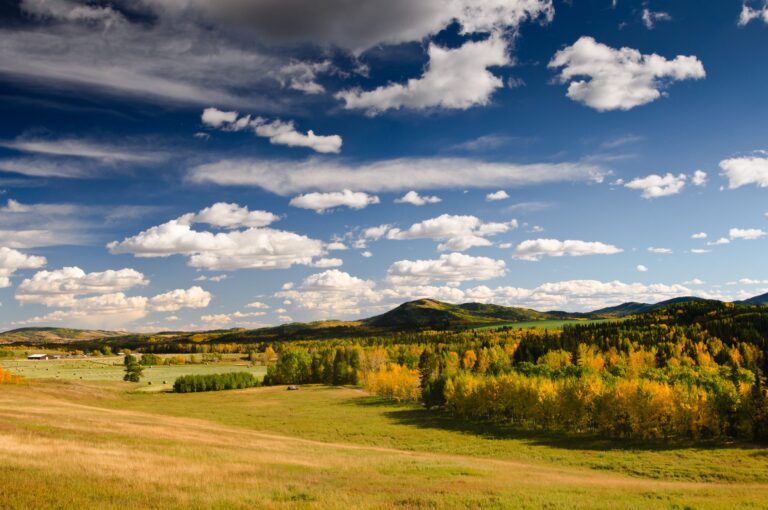 What is Foothills Style?